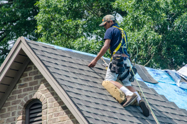 Best Gutter Installation and Roofing  in Sacred Heart University, CT